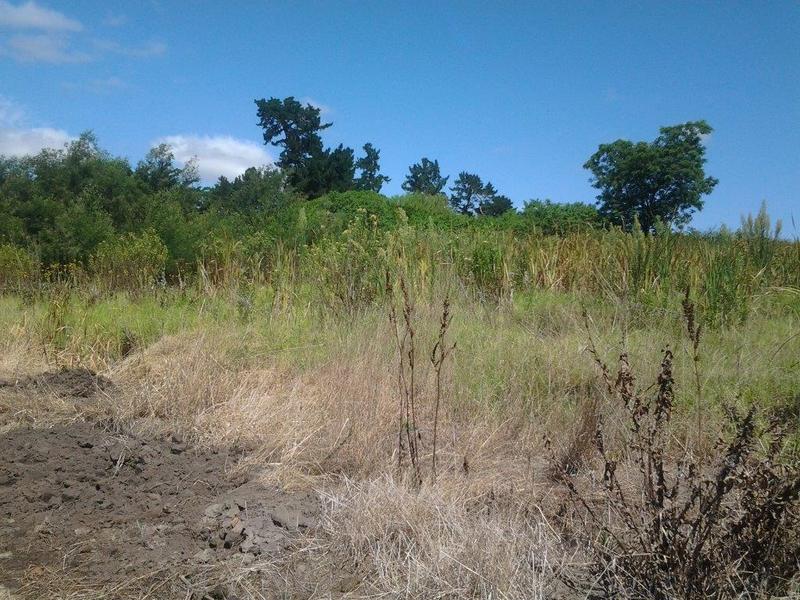 0 Bedroom Property for Sale in Albertinia Western Cape